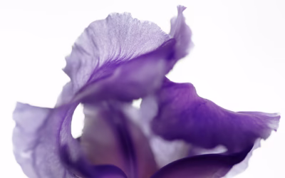 Gentilezza di pensiero: armonia, cura e rispetto del processo creativo