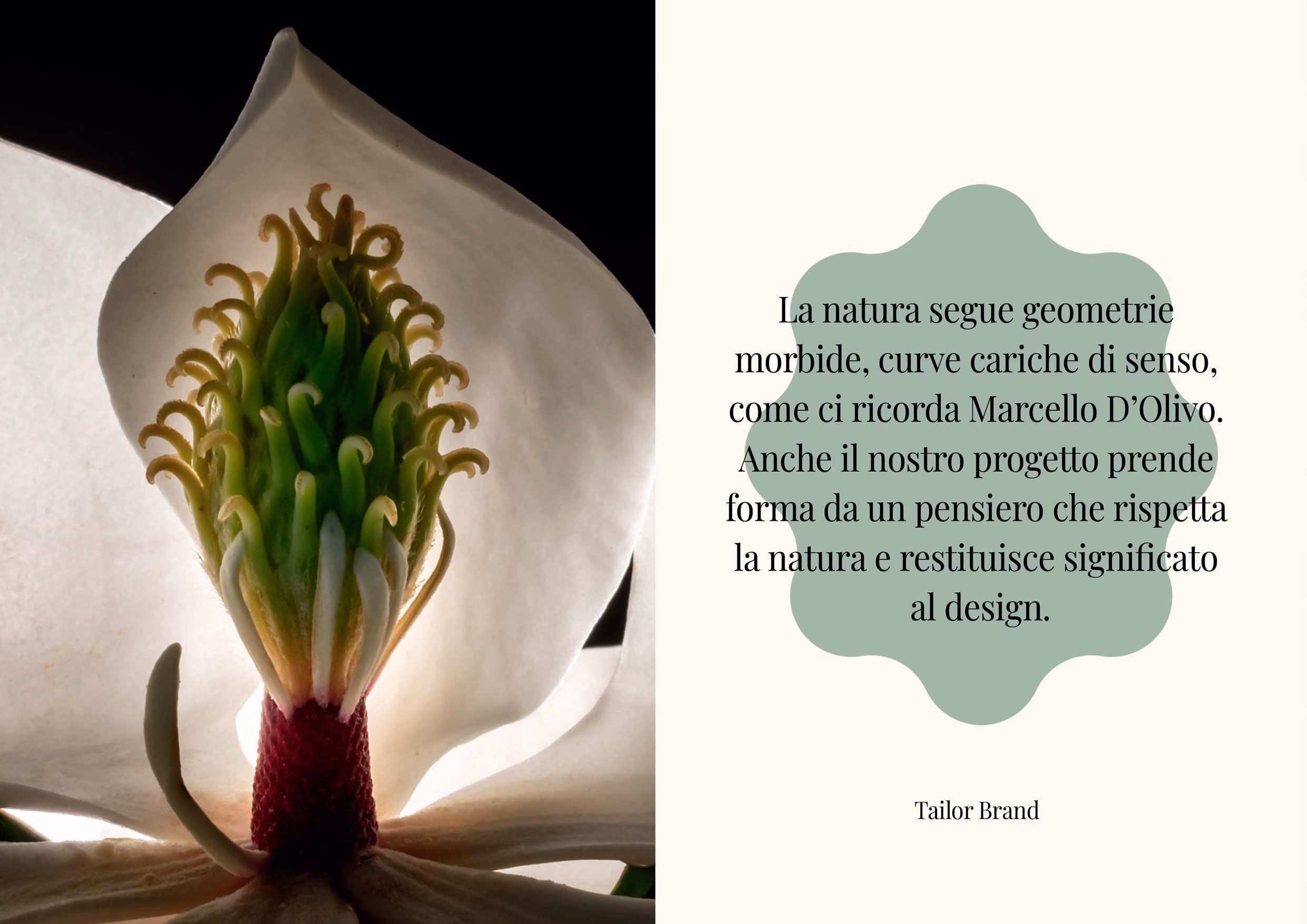 Tailor Brand Packaging Castello di Roncade Spumanti 0 Tailor Brand Packaging Castello di Roncade Spumanti 0