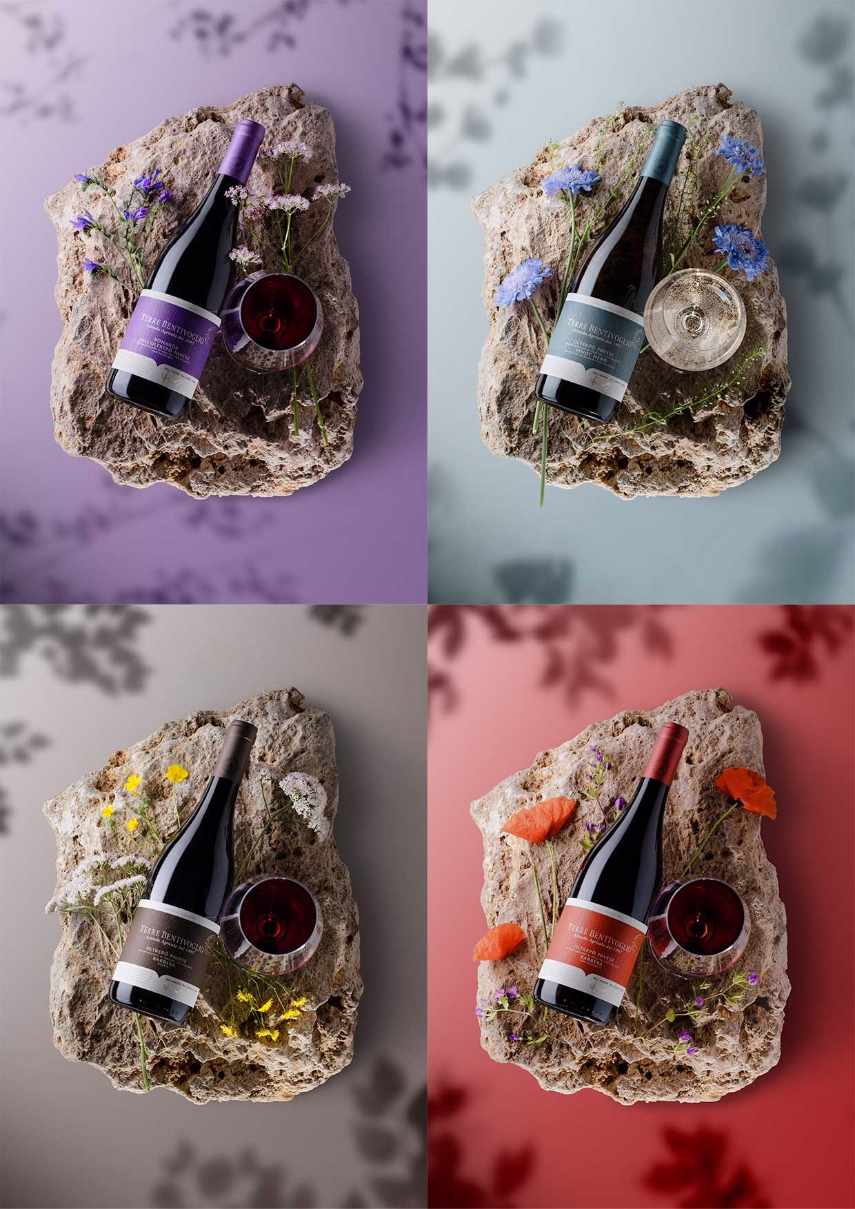 Tailor Brand Terre Bentivoglio Still life photography smatphone 1