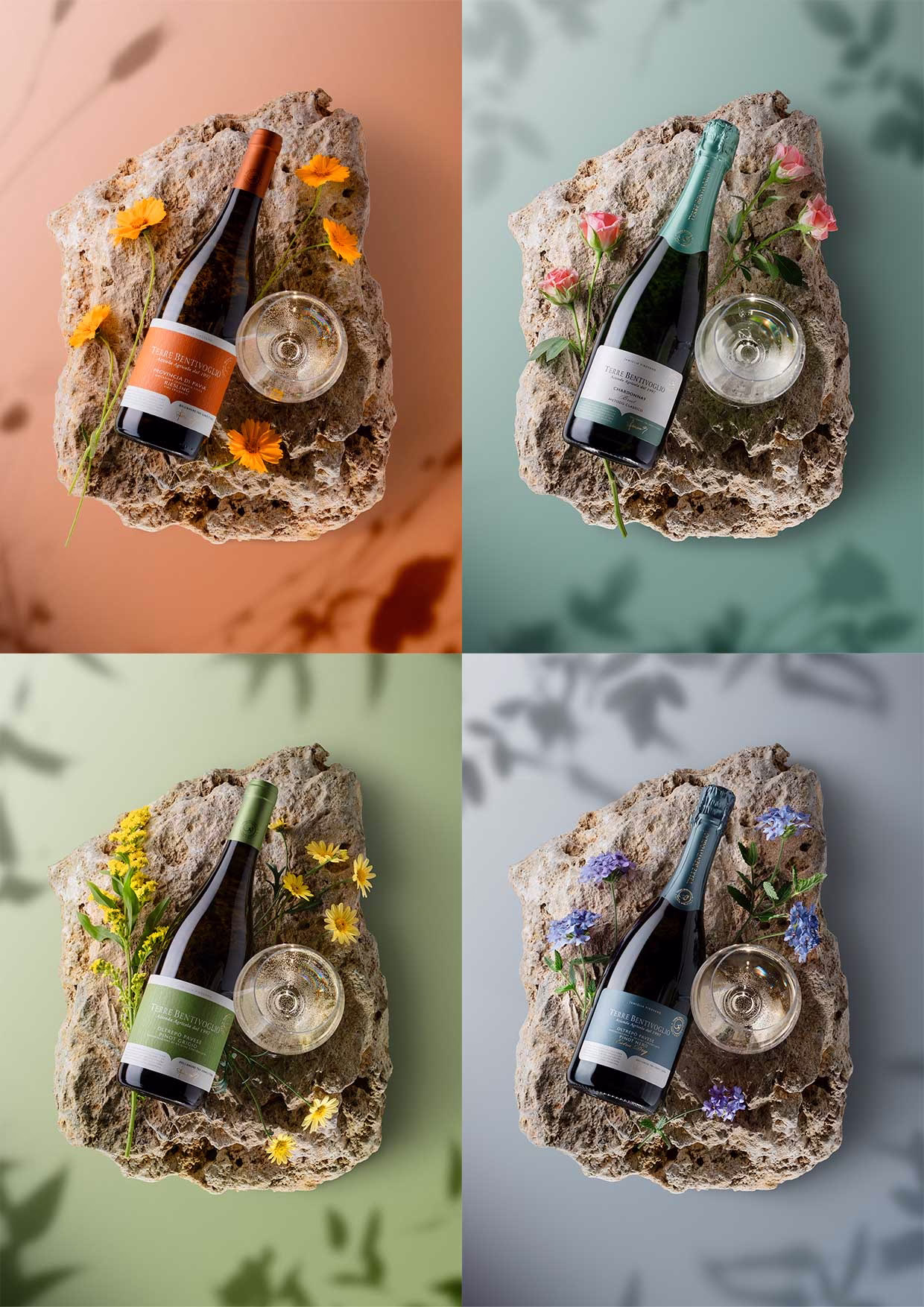 Tailor Brand Terre Bentivoglio Still life photography smatphone 2